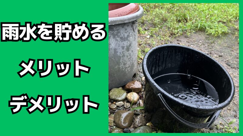 雨水を貯めるメリット・デメリット